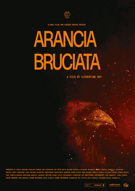 https://www.parkadiafilms.com:443/files/gimgs/th-19_poster .jpg